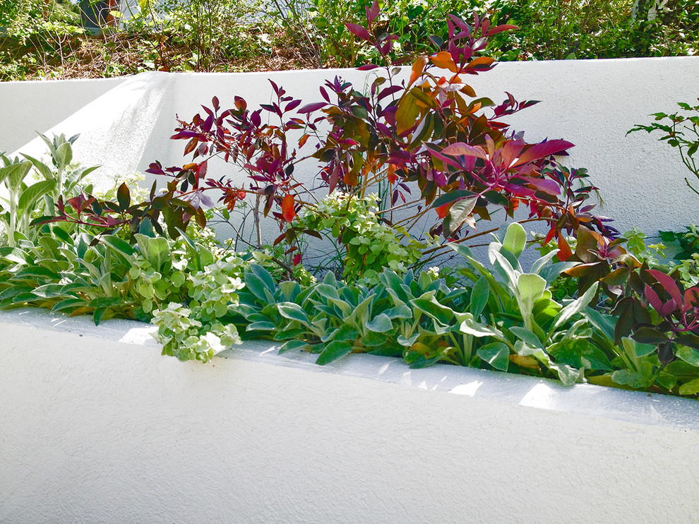 Ispirazione per un grande giardino xeriscape mediterraneo esposto in pieno sole nel cortile laterale