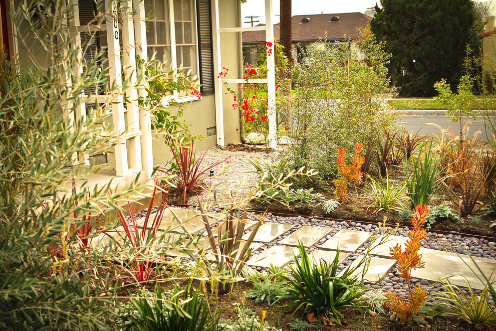 Esempio di un piccolo giardino xeriscape contemporaneo esposto a mezz'ombra davanti casa con un ingresso o sentiero e pavimentazioni in cemento