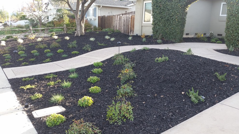 Photo of a large traditional front xeriscape full sun garden in San Francisco.