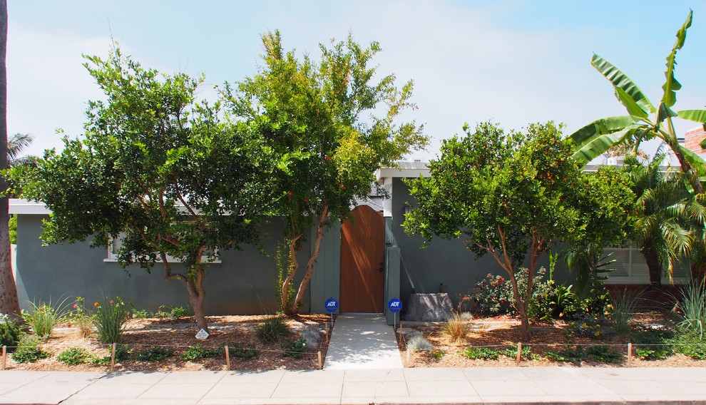 Medium sized midcentury front xeriscape full sun garden for spring in San Diego with mulch.