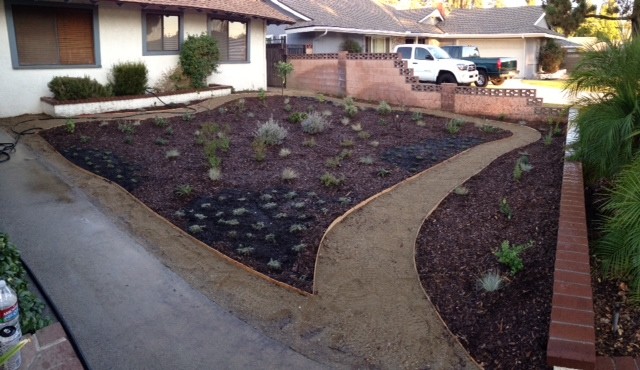 Photo of a large classic back xeriscape partial sun garden in Los Angeles with mulch.