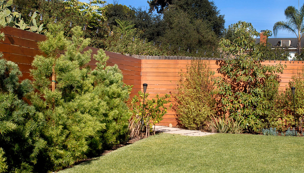 Esempio di un giardino xeriscape minimalista esposto a mezz'ombra di medie dimensioni e dietro casa con pavimentazioni in cemento