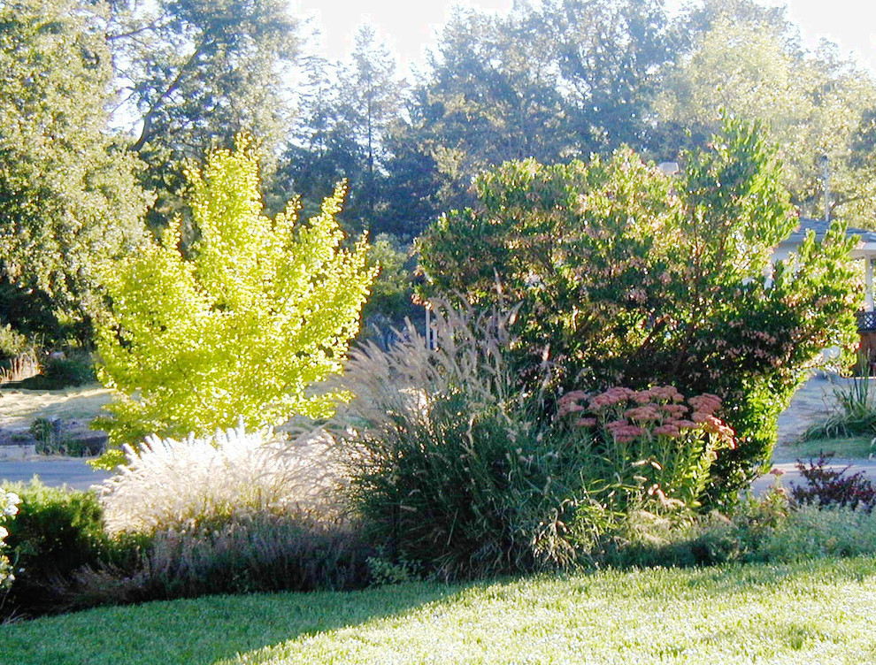 Foto di un grande giardino xeriscape stile rurale esposto in pieno sole davanti casa in autunno