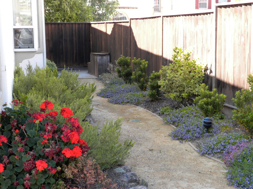 Imagen de jardín de secano rústico de tamaño medio en patio trasero con exposición total al sol y gravilla