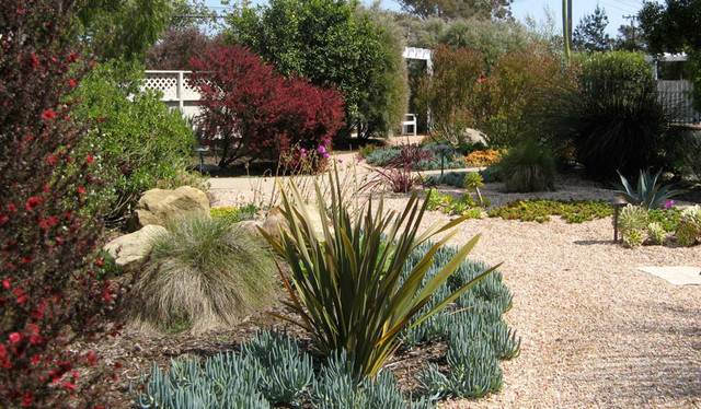 17+ Drought tolerant landscaping companies los angeles