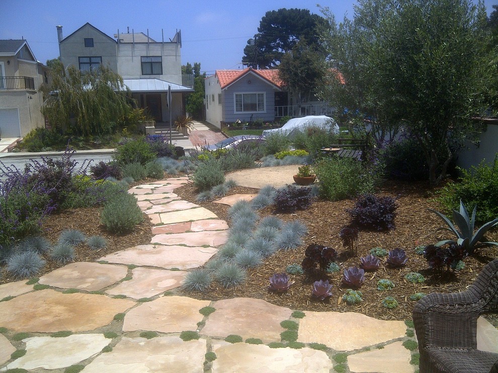 This is an example of a contemporary garden in Los Angeles.