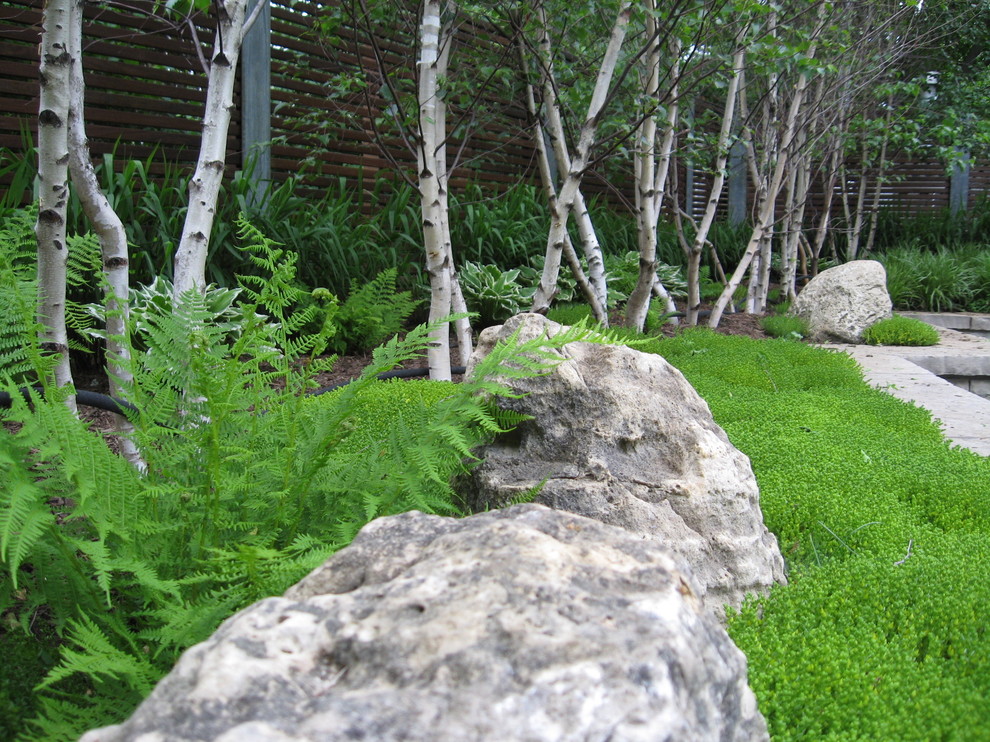 Cette photo montre un jardin asiatique avec pierres et graviers.