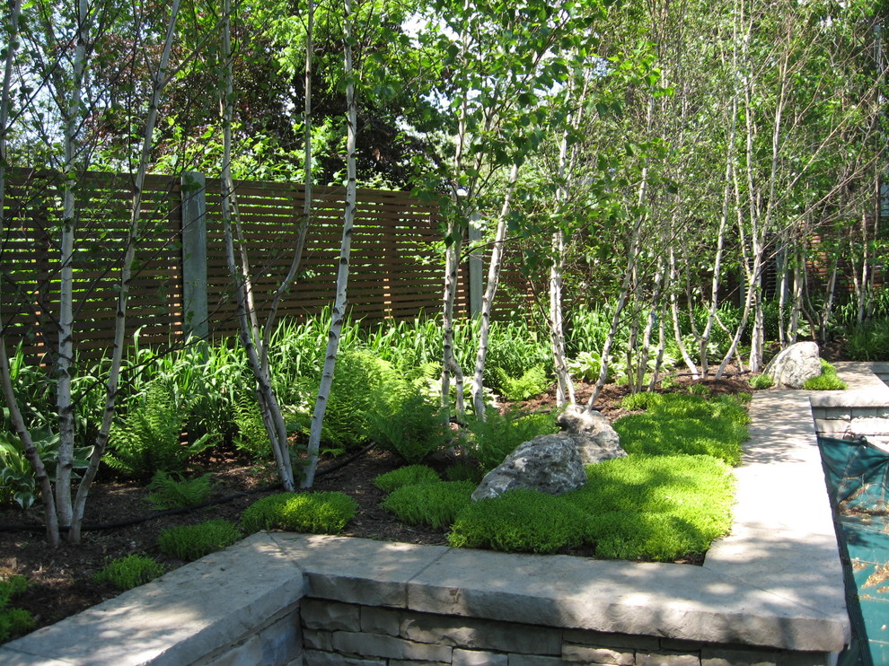 Inspiration for a world-inspired garden in Toronto.