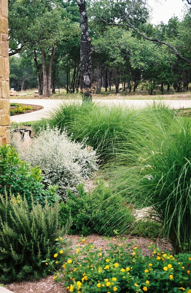 Uriger Garten in Austin