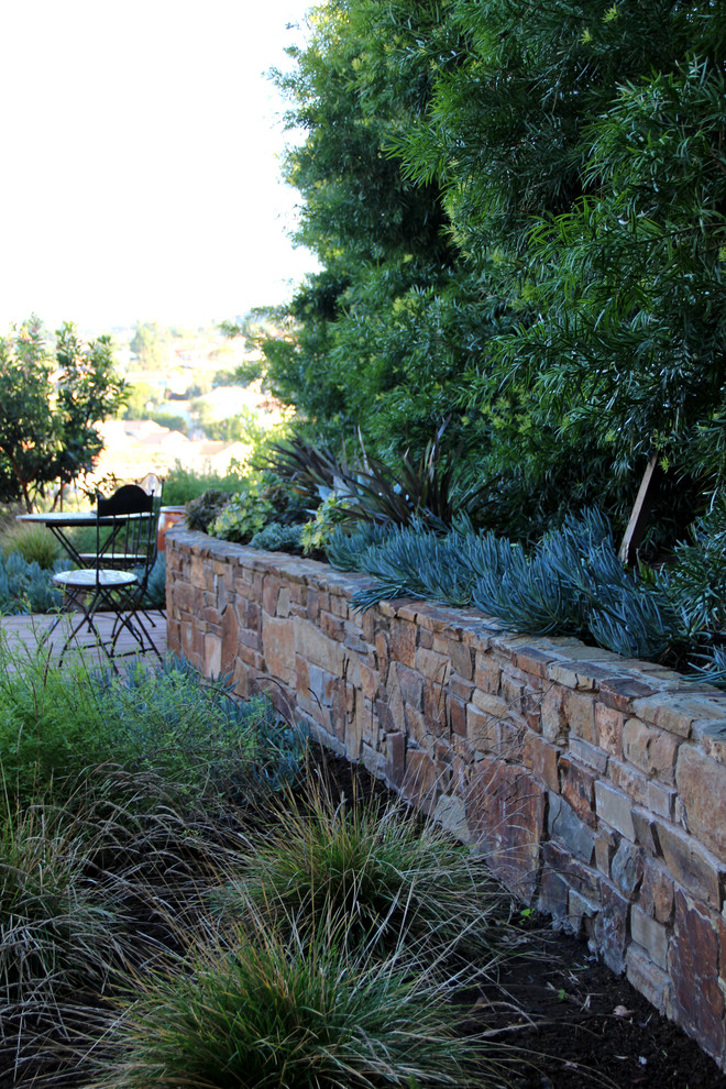 Photo of a contemporary back garden in Los Angeles.