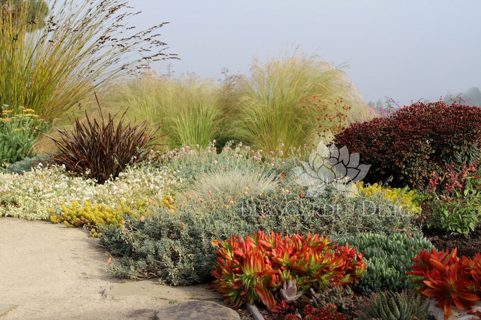 Design ideas for a contemporary landscaping in Los Angeles.