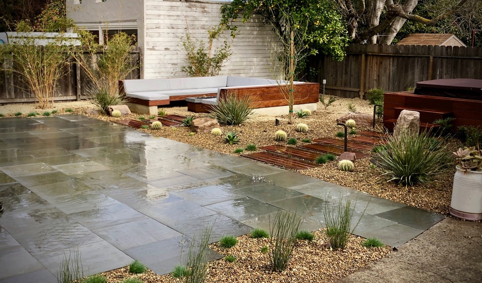 Dry Modern Modern Landscape San Francisco By Wildwood Landscapes Design Houzz