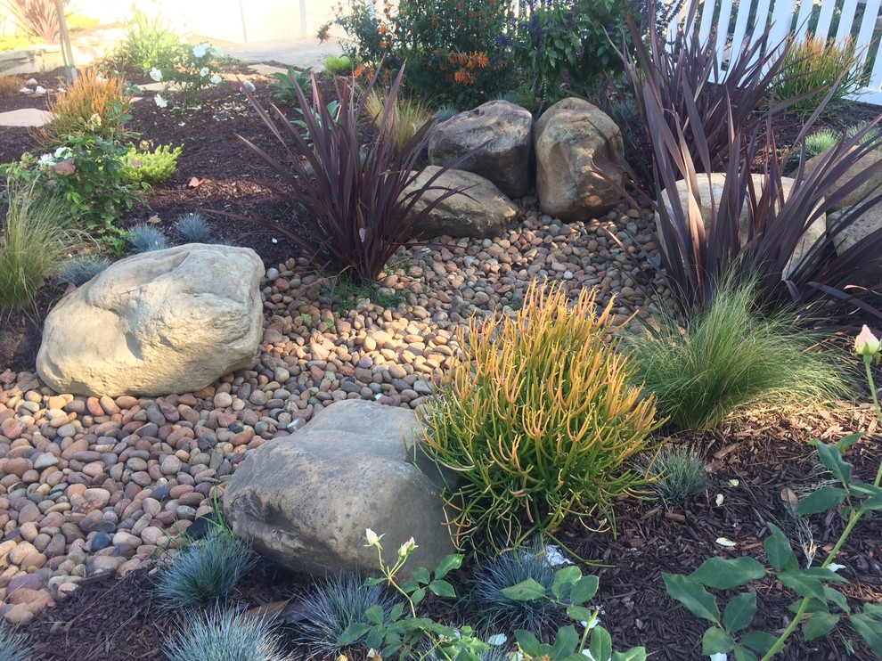 Foto de jardín de secano clásico de tamaño medio en patio delantero