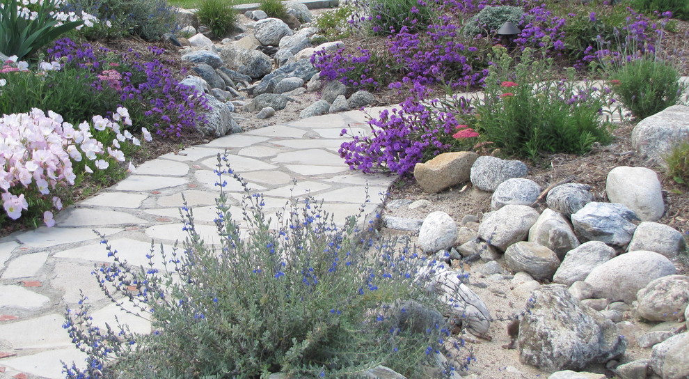 Photo of a mediterranean front yard landscaping in Orange County.