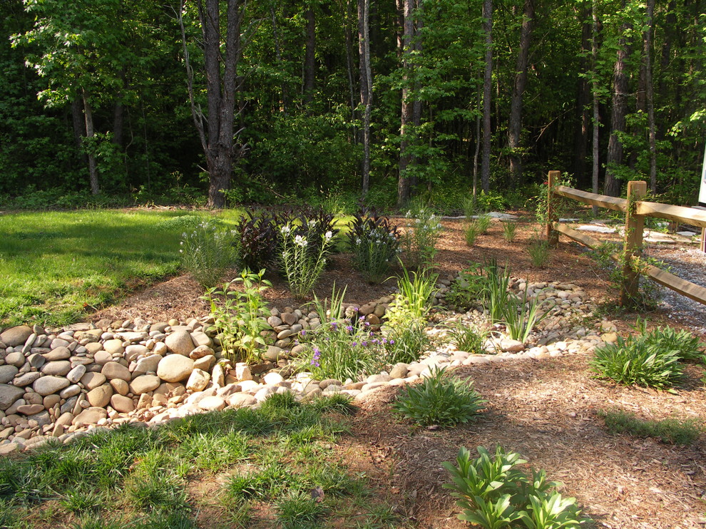 Dry Streams, Rain Gardens and Bog Gardens - Eclectic - Landscape ...