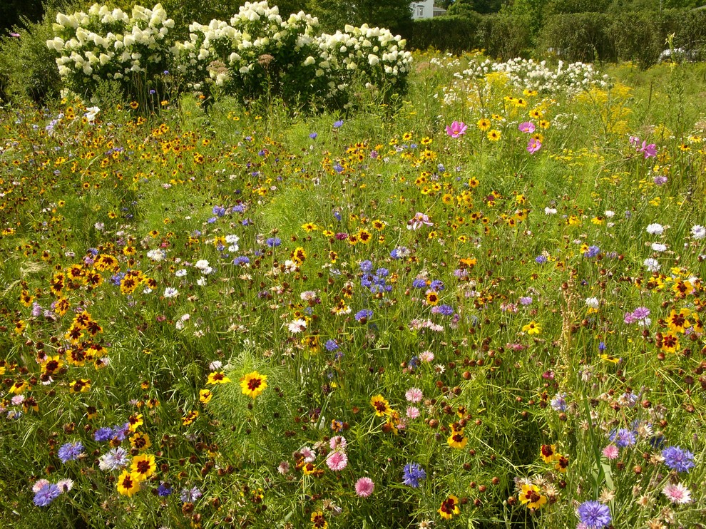 Idee per un giardino country esposto in pieno sole di medie dimensioni e davanti casa in estate