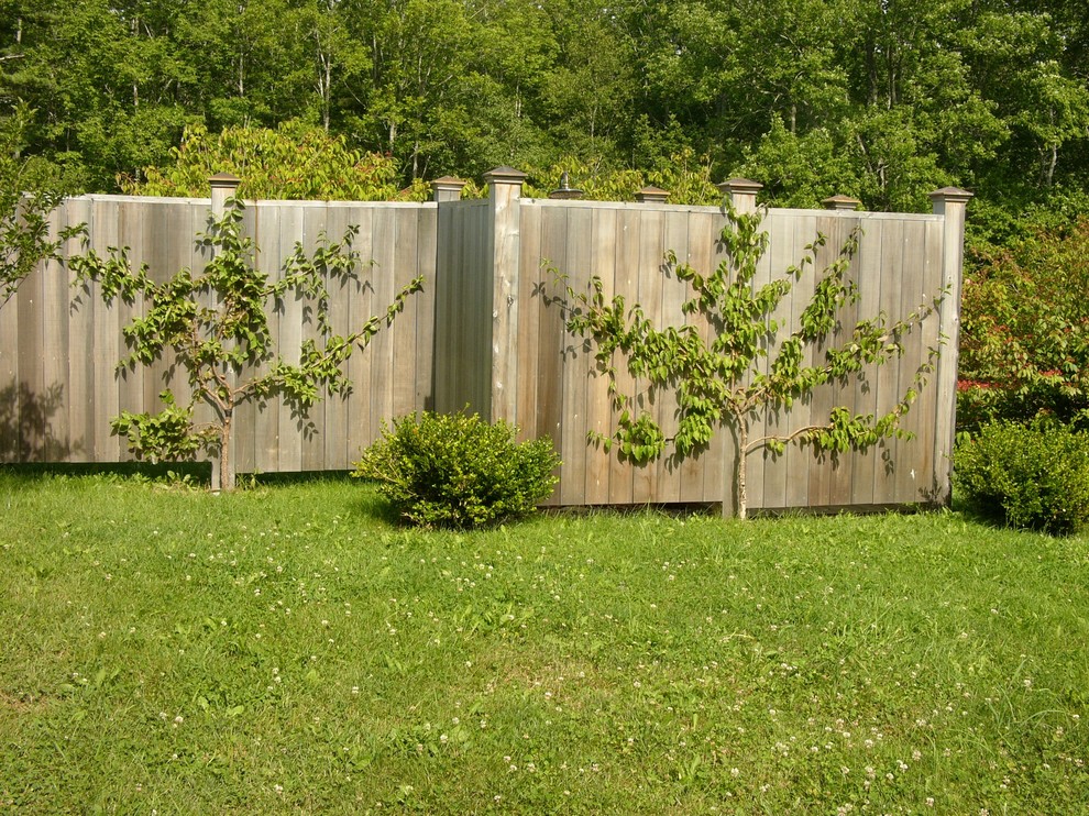 Ducktrap Garden & Wildflower Meadow Transitional Landscape