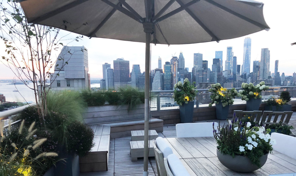 Großer Moderner Dachgarten im Sommer mit Kübelpflanzen, direkter Sonneneinstrahlung und Dielen in New York