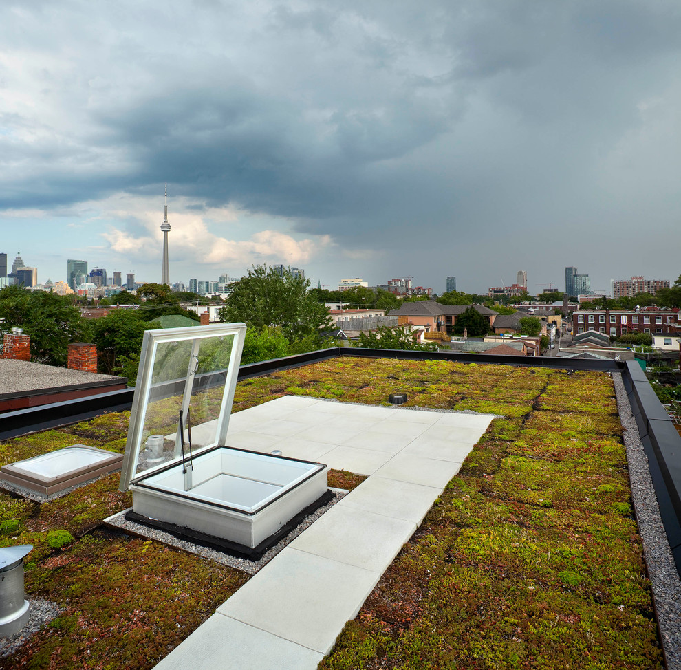 Idee per un piccolo giardino xeriscape minimalista esposto in pieno sole sul tetto in primavera con pavimentazioni in cemento