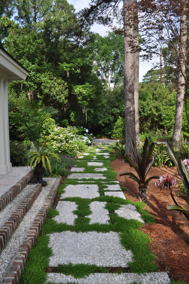 Idee per un giardino tropicale esposto a mezz'ombra di medie dimensioni con un ingresso o sentiero