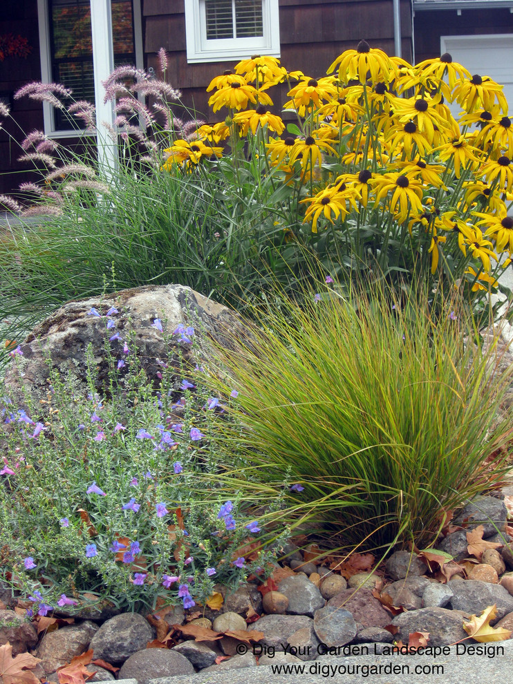 Immagine di un piccolo giardino minimal esposto in pieno sole davanti casa in estate con un ingresso o sentiero