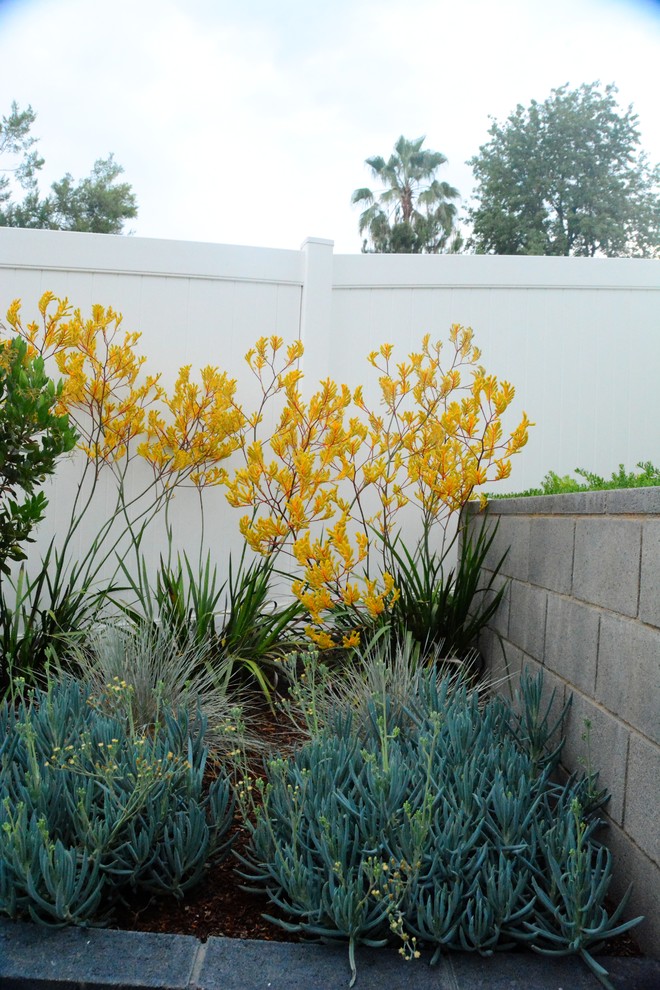 Пример оригинального дизайна: летний засухоустойчивый сад среднего размера на заднем дворе в современном стиле с подпорной стенкой и полуденной тенью