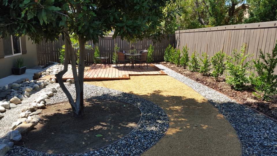 Immagine di un giardino xeriscape design esposto a mezz'ombra di medie dimensioni e dietro casa in estate con ghiaia