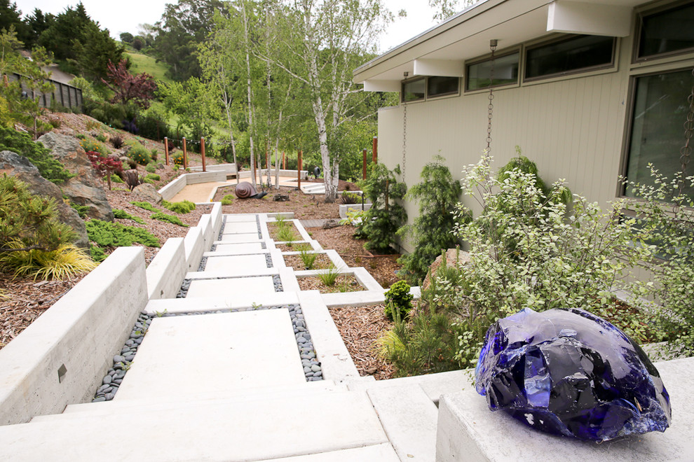 サンフランシスコにあるラグジュアリーな広いコンテンポラリースタイルのおしゃれな庭 (日向、傾斜地) の写真