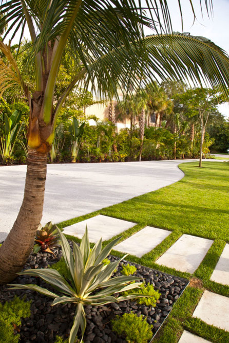 Foto di un giardino tropicale esposto in pieno sole di medie dimensioni e davanti casa in inverno con un ingresso o sentiero e pavimentazioni in cemento