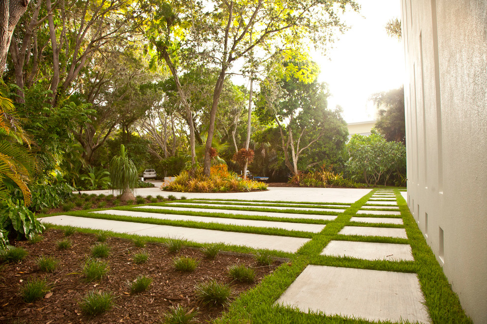 Idéer för att renovera en mellanstor tropisk trädgård i full sol framför huset på vinteren, med en trädgårdsgång och marksten i betong