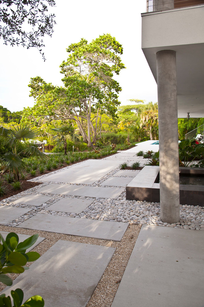 Inspiration för en mellanstor tropisk trädgård i full sol framför huset på vinteren, med en trädgårdsgång och marksten i betong