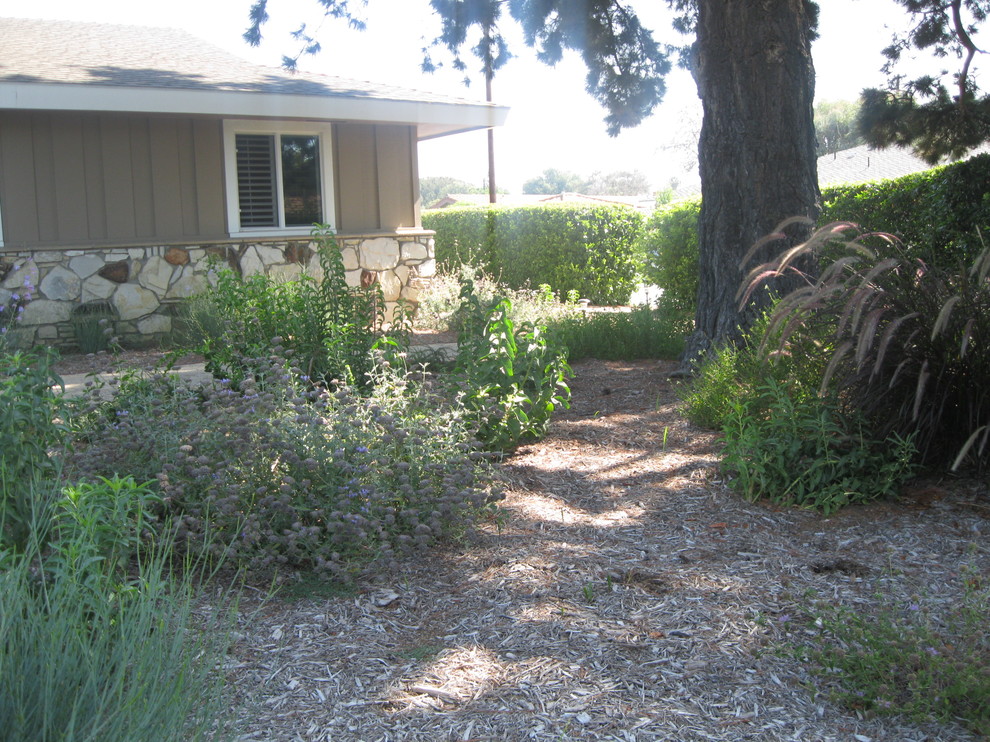 This is an example of a large classic front xeriscape partial sun garden in Orange County with a garden path and mulch.