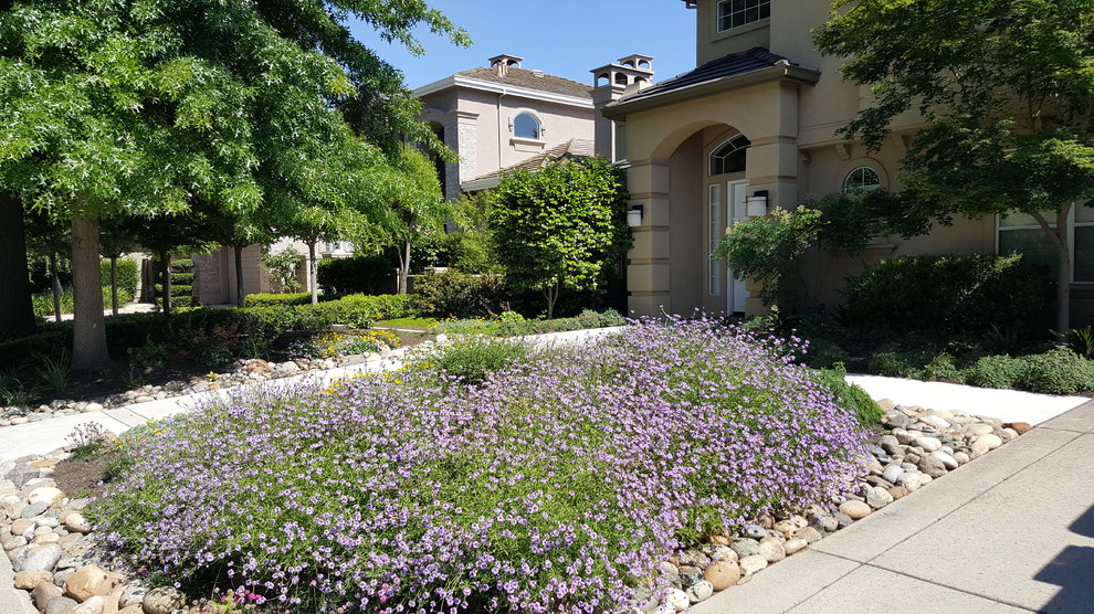 Imagen de jardín de estilo americano grande en verano en patio trasero con jardín francés, exposición total al sol y adoquines de piedra natural
