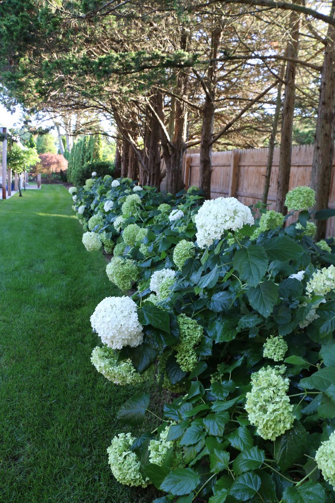 Inspiration for a coastal landscaping in New York.