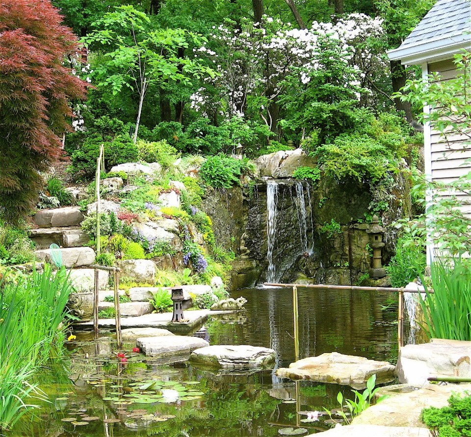 Bild på en orientalisk trädgård i full sol, med en fontän