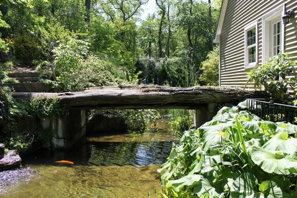Exempel på en modern trädgård, med en fontän