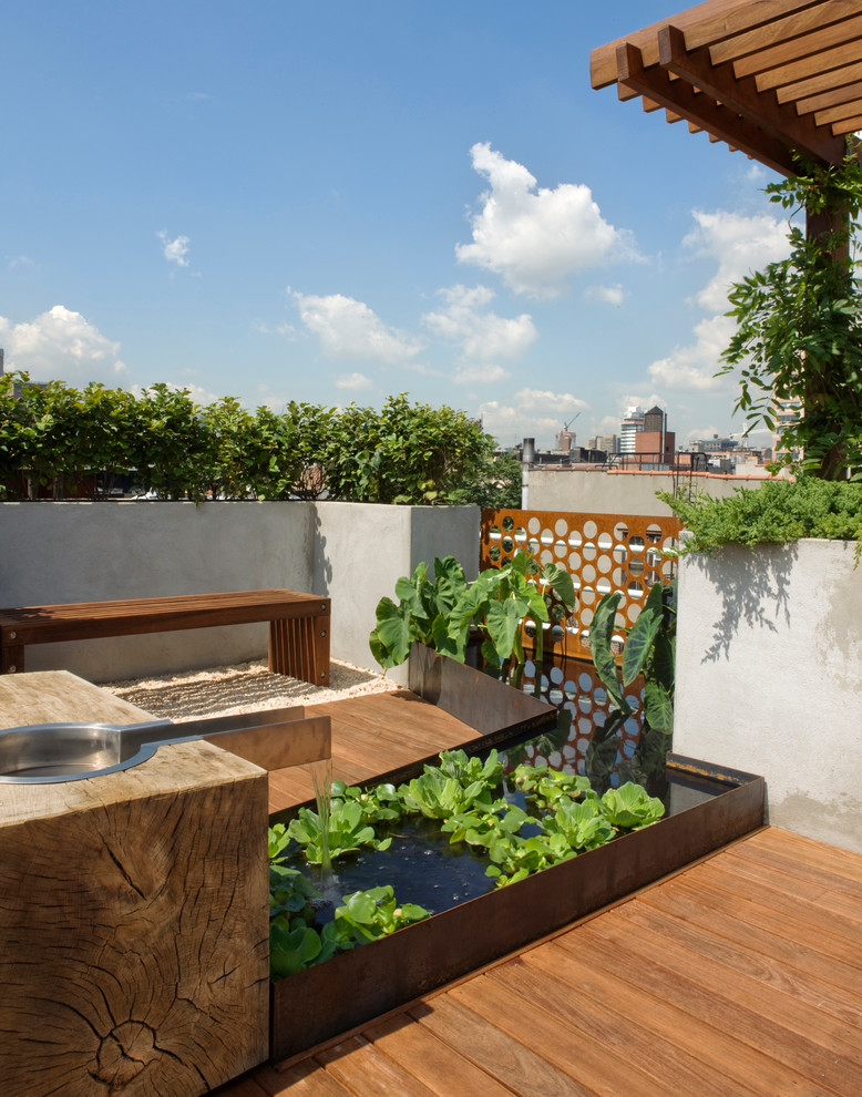 Ejemplo de jardín minimalista grande en azotea con fuente, exposición total al sol y entablado