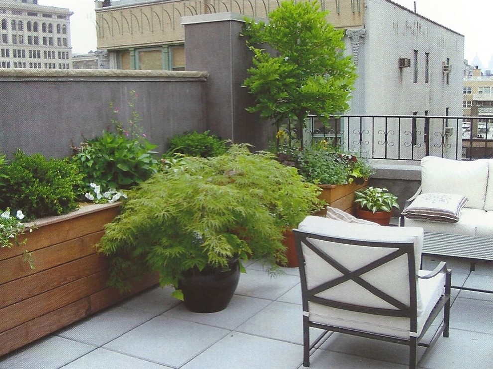 На фото: солнечный, летний участок и сад среднего размера на крыше в стиле модернизм с растениями в контейнерах, хорошей освещенностью, мощением тротуарной плиткой и с металлическим забором