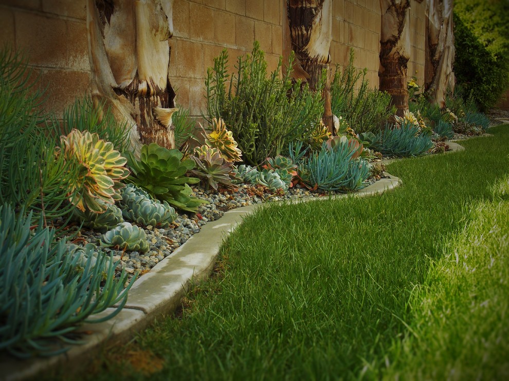 This is an example of a coastal drought-tolerant and partial sun backyard gravel landscaping in Orange County for spring.