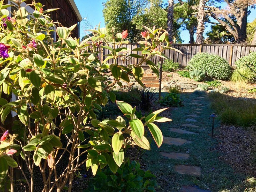 Diseño de jardín de secano bohemio en patio trasero con muro de contención y adoquines de piedra natural