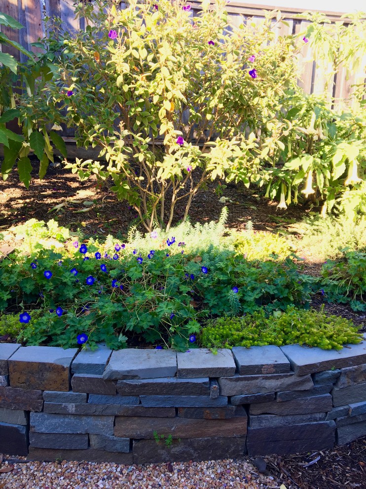 Stilmix Gartenmauer hinter dem Haus mit Natursteinplatten in San Francisco