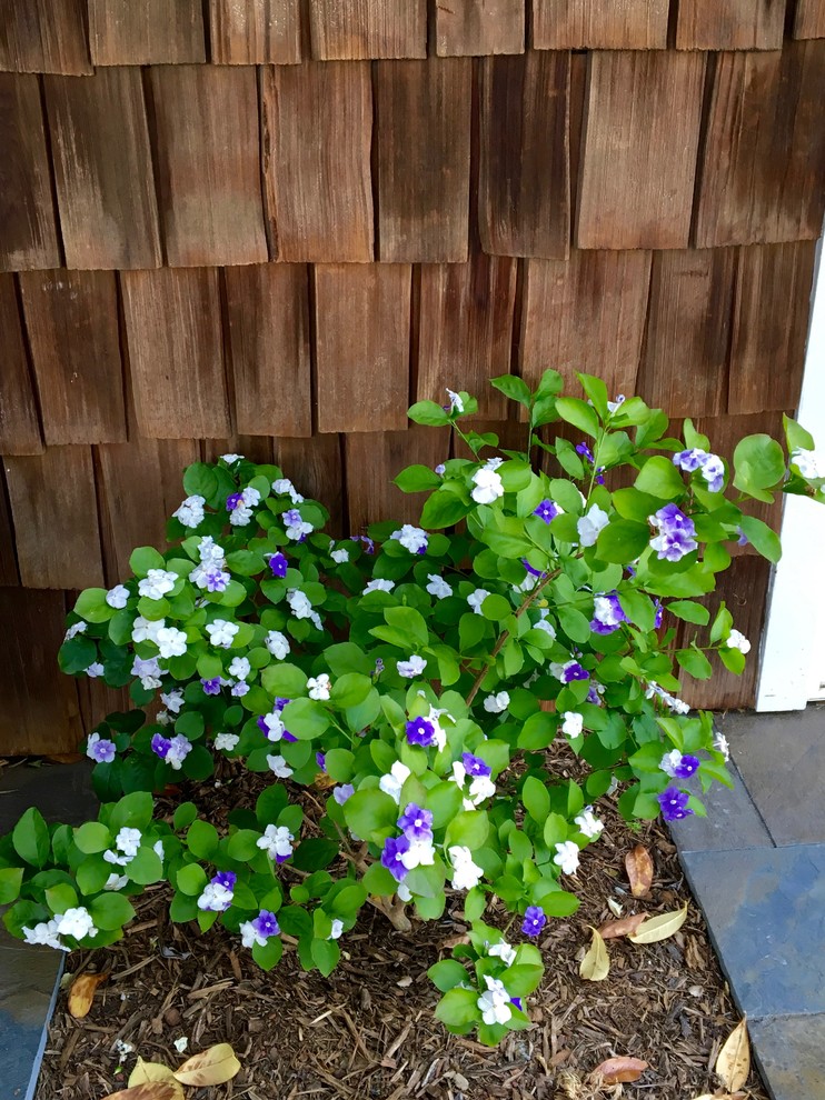 На фото: засухоустойчивый сад на заднем дворе в стиле фьюжн с местом для костра и покрытием из каменной брусчатки с