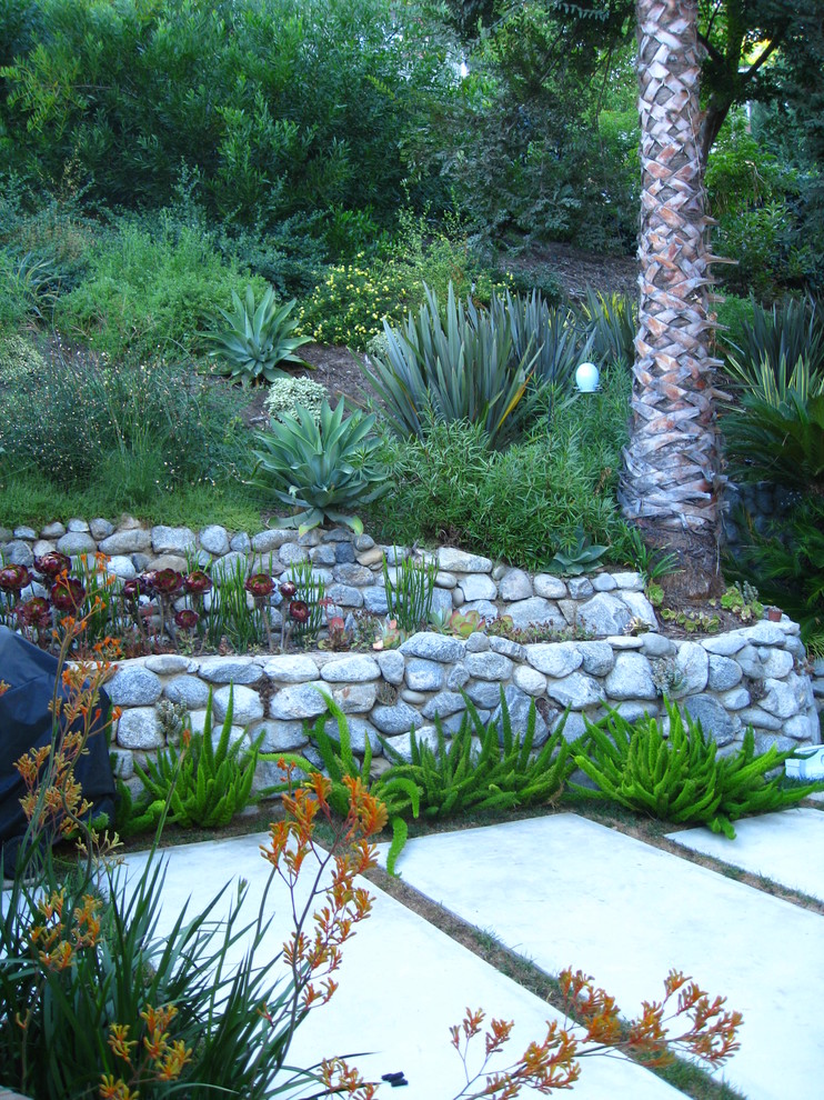 Photo of a large classic back xeriscape full sun garden for summer in Los Angeles with a retaining wall and concrete paving.