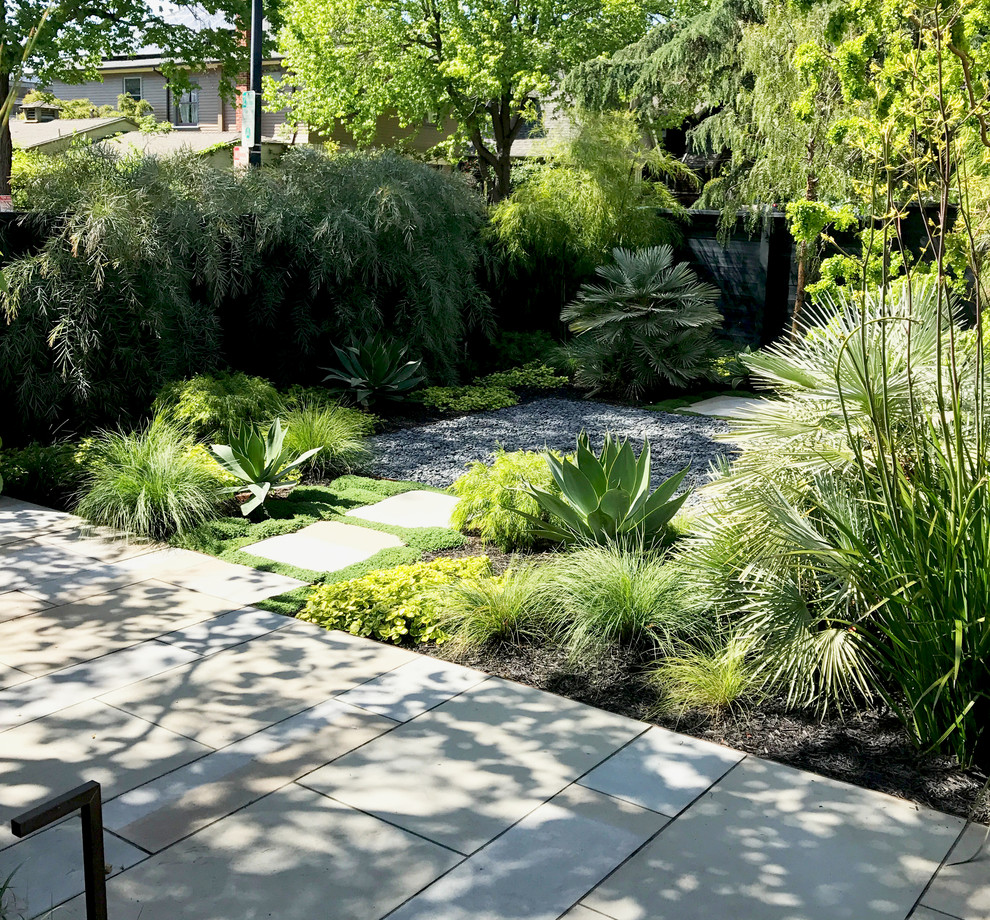 Foto di un giardino tropicale esposto a mezz'ombra in cortile con un ingresso o sentiero e pavimentazioni in pietra naturale