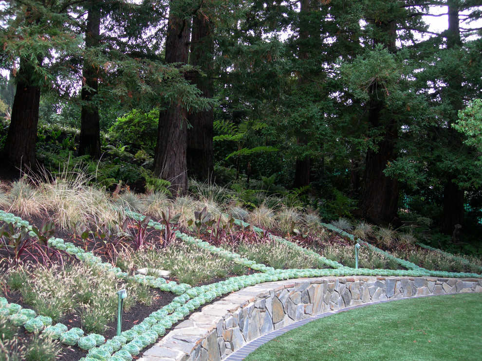 Eklektischer Garten in San Francisco
