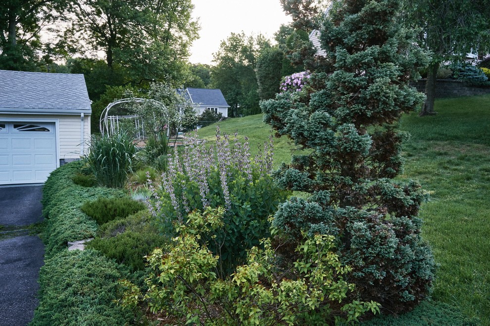 Пример оригинального дизайна: большой солнечный, весенний регулярный сад на переднем дворе в стиле неоклассика (современная классика) с садовой дорожкой или калиткой, покрытием из каменной брусчатки и хорошей освещенностью