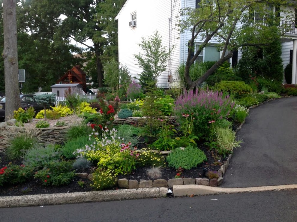 Cette image montre un grand jardin avant traditionnel au printemps avec une exposition ensoleillée et un paillis.