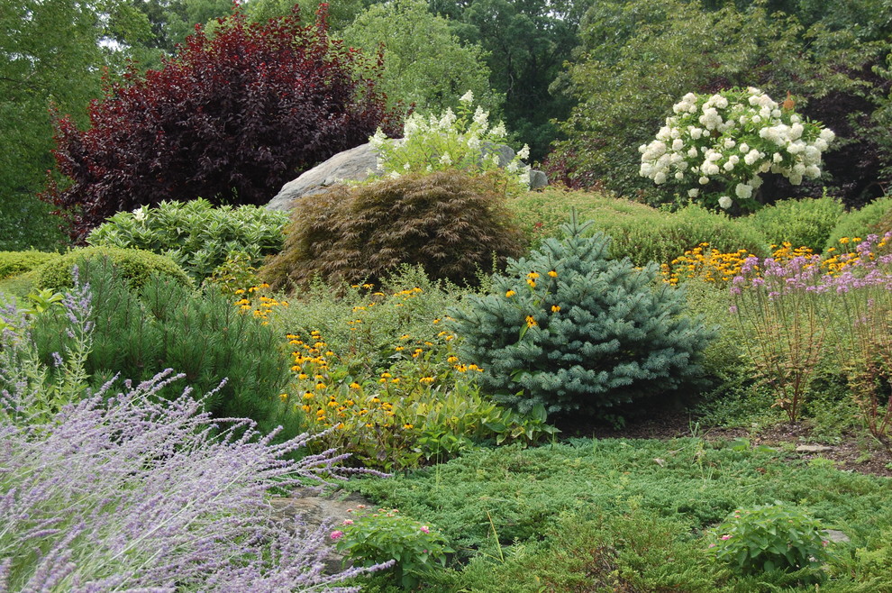 Exemple d'un jardin arrière éclectique avec une exposition ensoleillée.