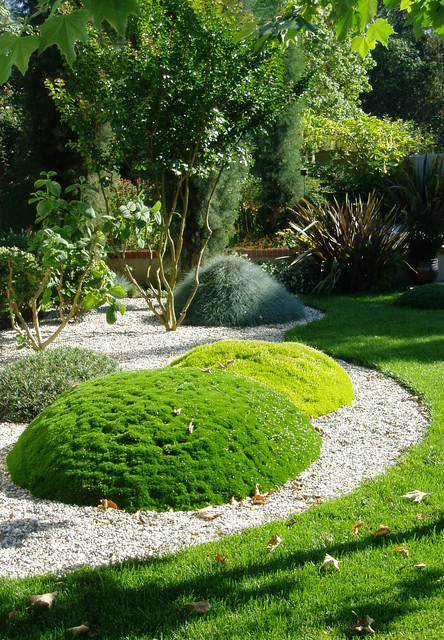 La mousse : une moquette naturelle pour votre jardin