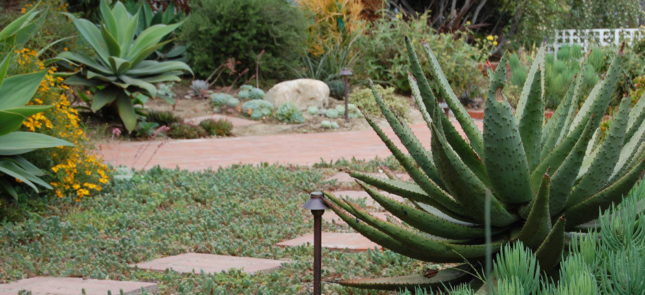 На фото: регулярный сад среднего размера на внутреннем дворе в стиле фьюжн с полуденной тенью и покрытием из каменной брусчатки с
